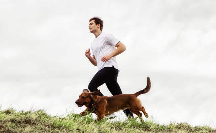 rasa do biegania z psem
