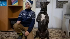 Pies-terapeuta pomaga dzieciom wyleczyć się z traumy wojny na Ukrainie